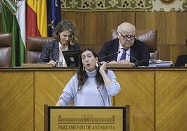 Andalucía pide al Estado que la financiación por acoger menores inmigrantes de Ceuta sea estable y no sólo un año