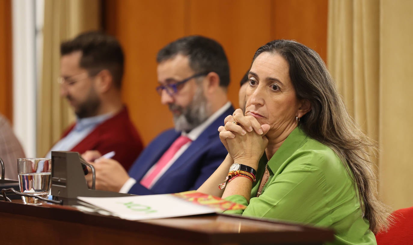 El Debate del Estado de la Ciudad de Córdoba, en imágenes