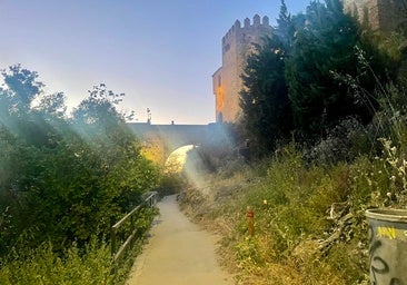 ¿Un teleférico entre los puentes de Alcántara y San Martín?: no es una 'fake news'