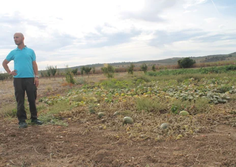 Imagen secundaria 1 - Casas de Hualdo, una oda al trabajo bien hecho en el campo