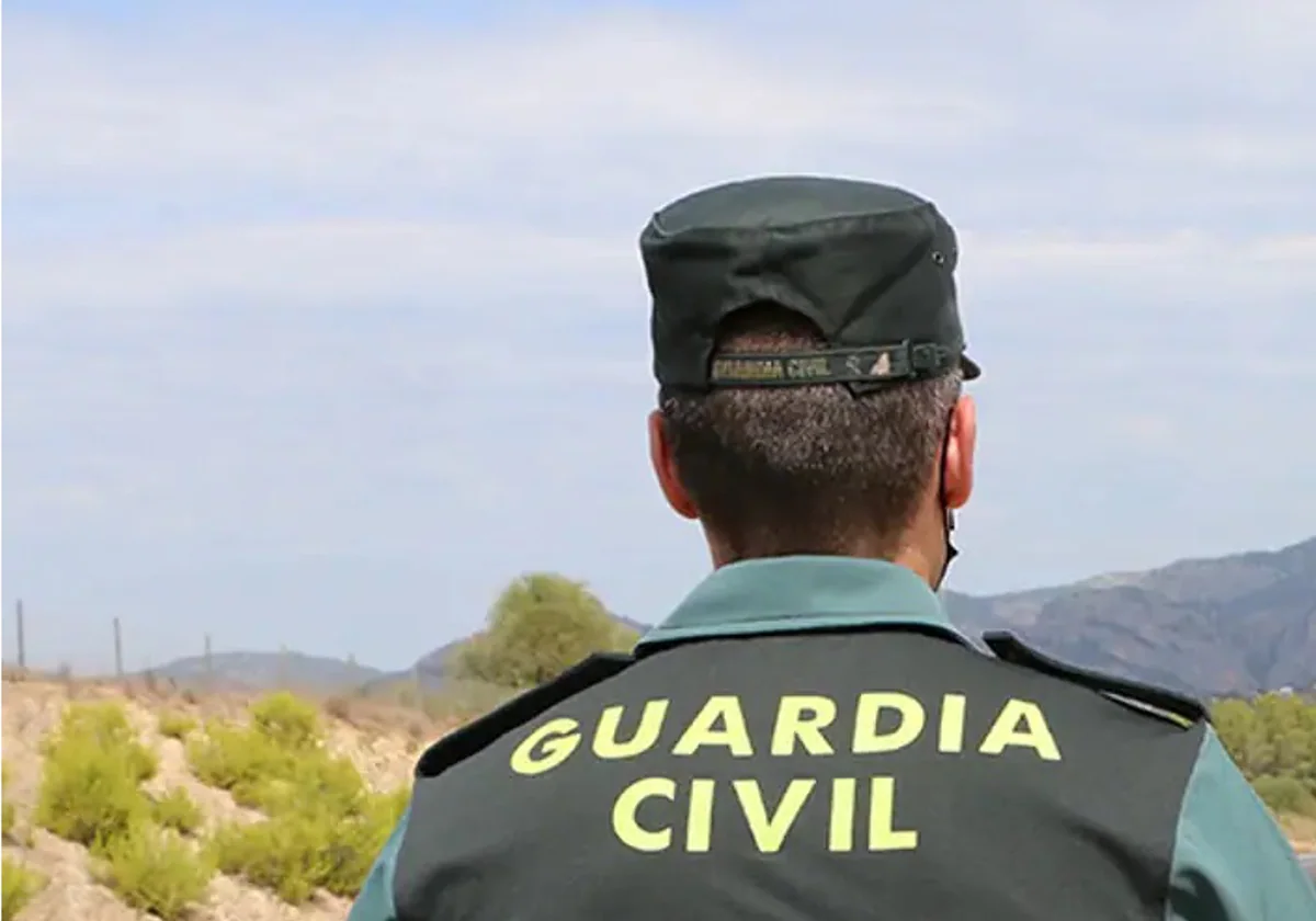 Hallan restos humanos en una zona retirada de monte en Burgos