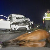 Los animales provocan 2.500 accidentes de tráfico al año en Andalucía