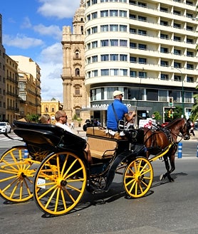 Imagen secundaria 2 - Los coches de caballos podrán circular por el centro de Málaga hasta 2035 como muy tarde aunque el Ayuntamiento los quiere suprimir cuanto antes