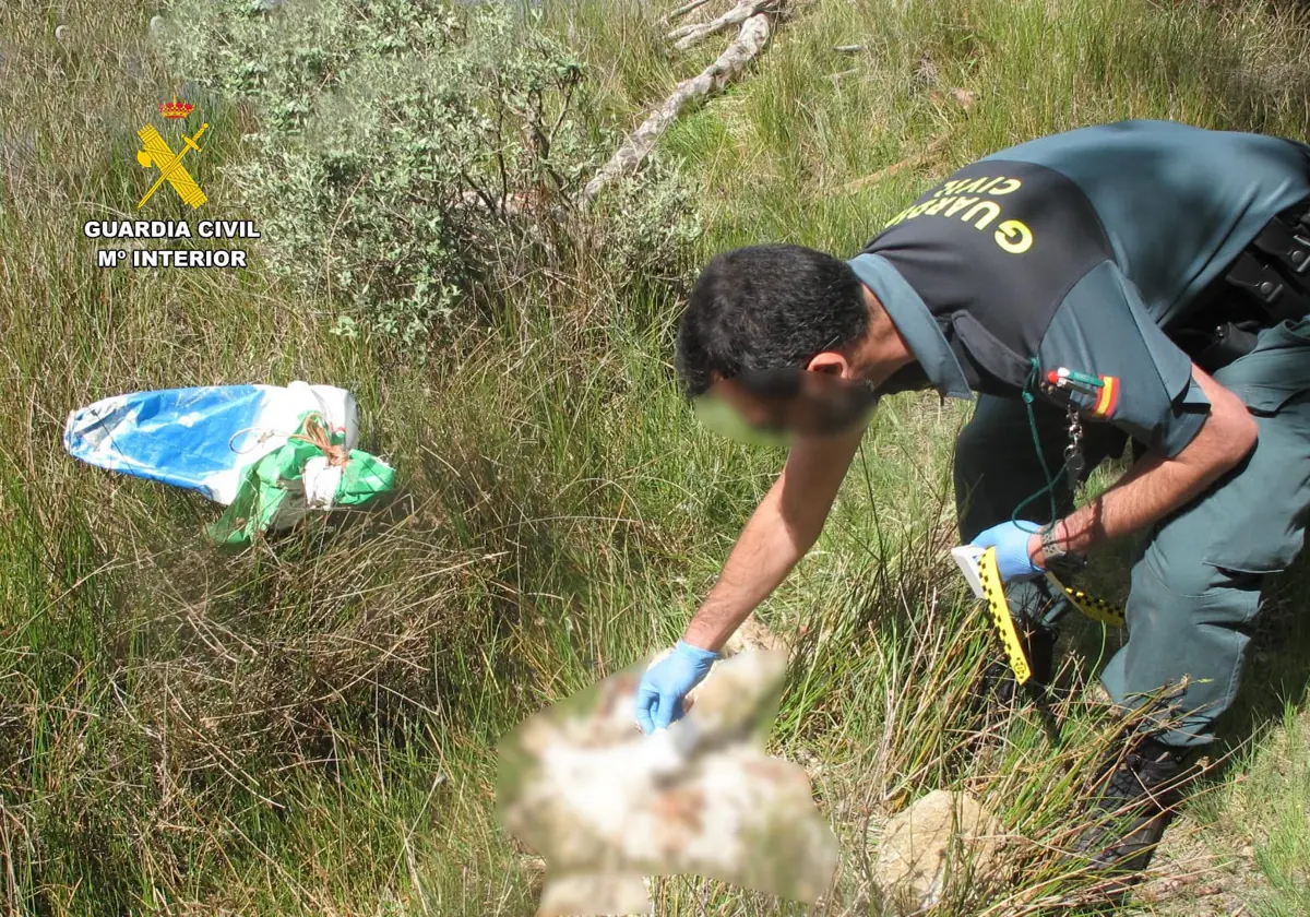 Un agente recoge pruebas en el lugar en el que se encontró uno de los canes fallecidos