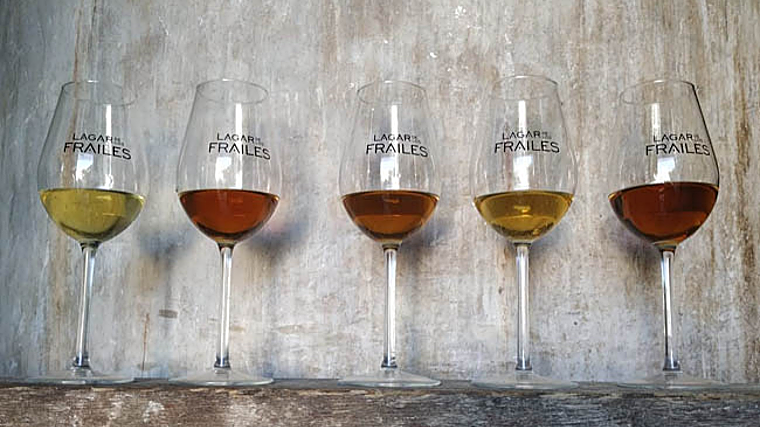 La Cata de Moriles: actividades, catas y guías de Expo Wine Moriles 2024 en Córdoba