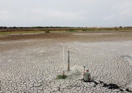 Llevar agua de Mazagón para Matalascañas: la solución para «salvar» Doñana según la organización ecologista WWF