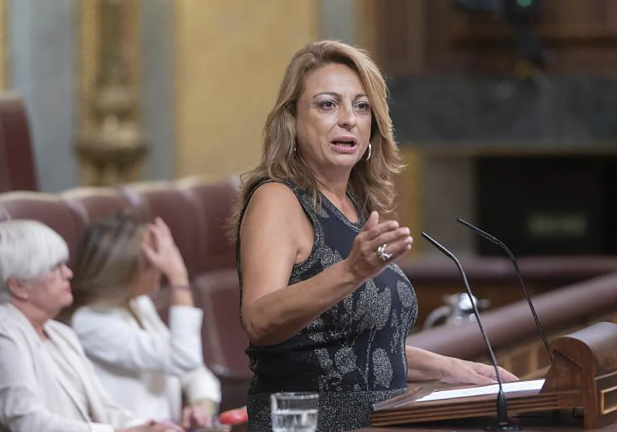 La diputada canaria Cristina Valido en una intervención  en el Congreso en foto de archivo
