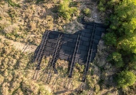 Los cachorros de la izquierda abertzale terminan con el último Toro de Osborne en Navarra