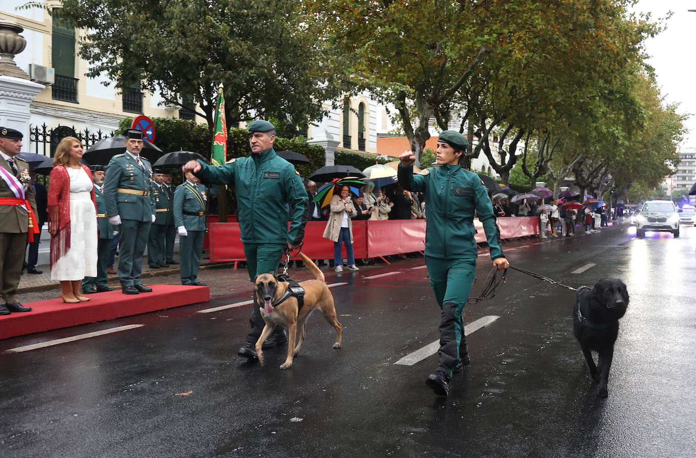 Fotos: el desfile y las condecoraciones de la Guardia Civil de Córdoba por el día de su patrona