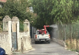 Confirmados tres casos de Virus del Nilo en caballos en la provincia de Granada