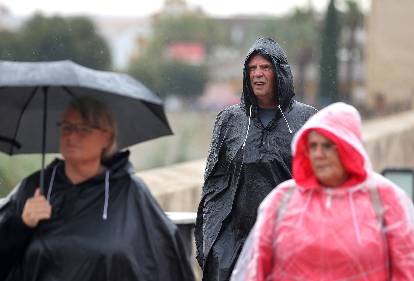 Fotos: el temporal Berenice se deja sentir en Córdoba