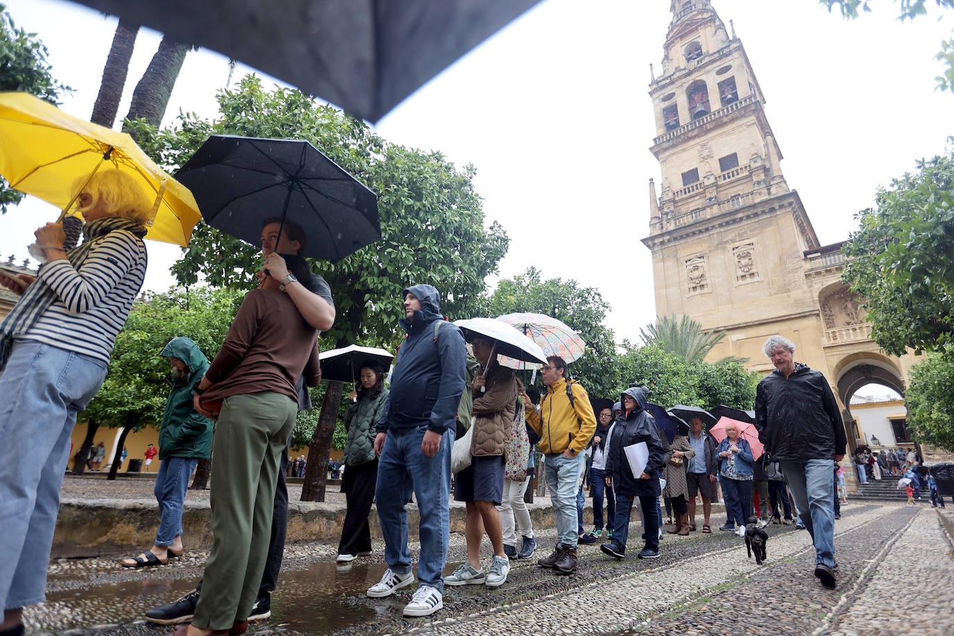 Fotos: el temporal Berenice se deja sentir en Córdoba