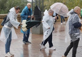 Las fuertes lluvias dejan hasta 147 litros por metro cuadrado pero no causan hasta ahora incidencias graves en Córdoba