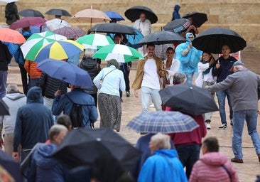 El temporal Berenice se deja sentir en Córdoba, en imágenes