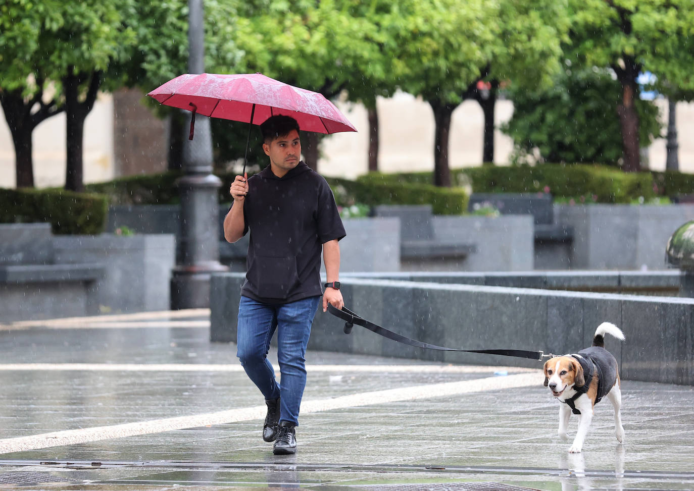 En imágenes, los últimos coletazos de la borrasca Berenice en Córdoba