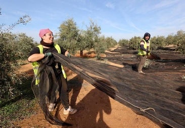 Deoleo celebra un congreso sobre el papel de la mujer en el sector del aceite en Córdoba