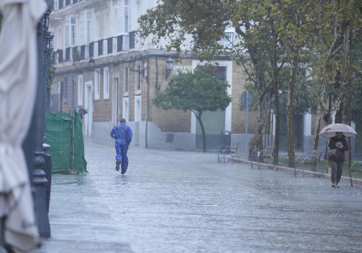 Imagen tomada este fin de semana en Cádiz