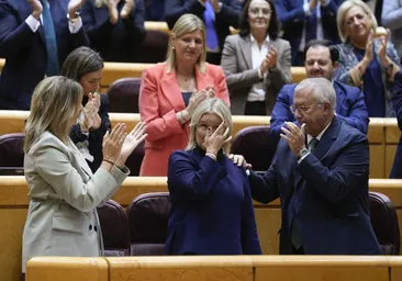 El Senado dilata la ley que beneficia a presos de ETA con una maniobra sin precedentes