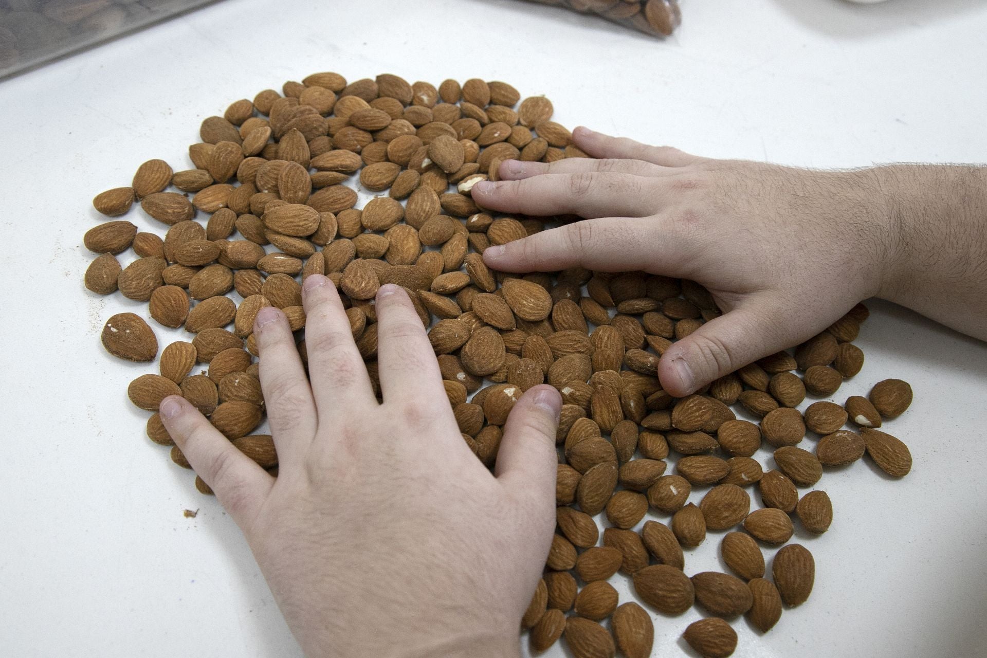 La imponente planta de almendras de Dcoop en Villarrubia, en imágenes