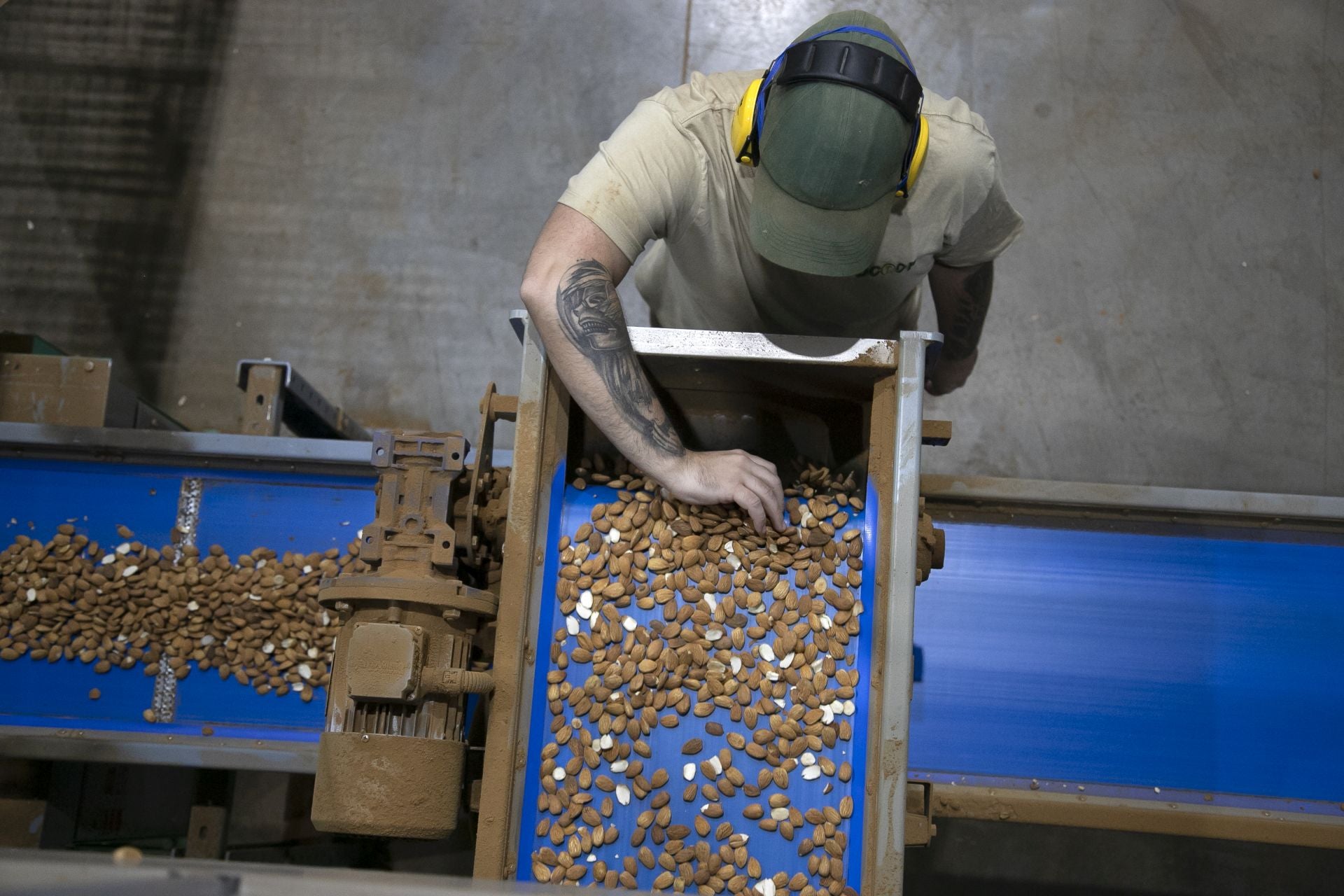 La imponente planta de almendras de Dcoop en Villarrubia, en imágenes