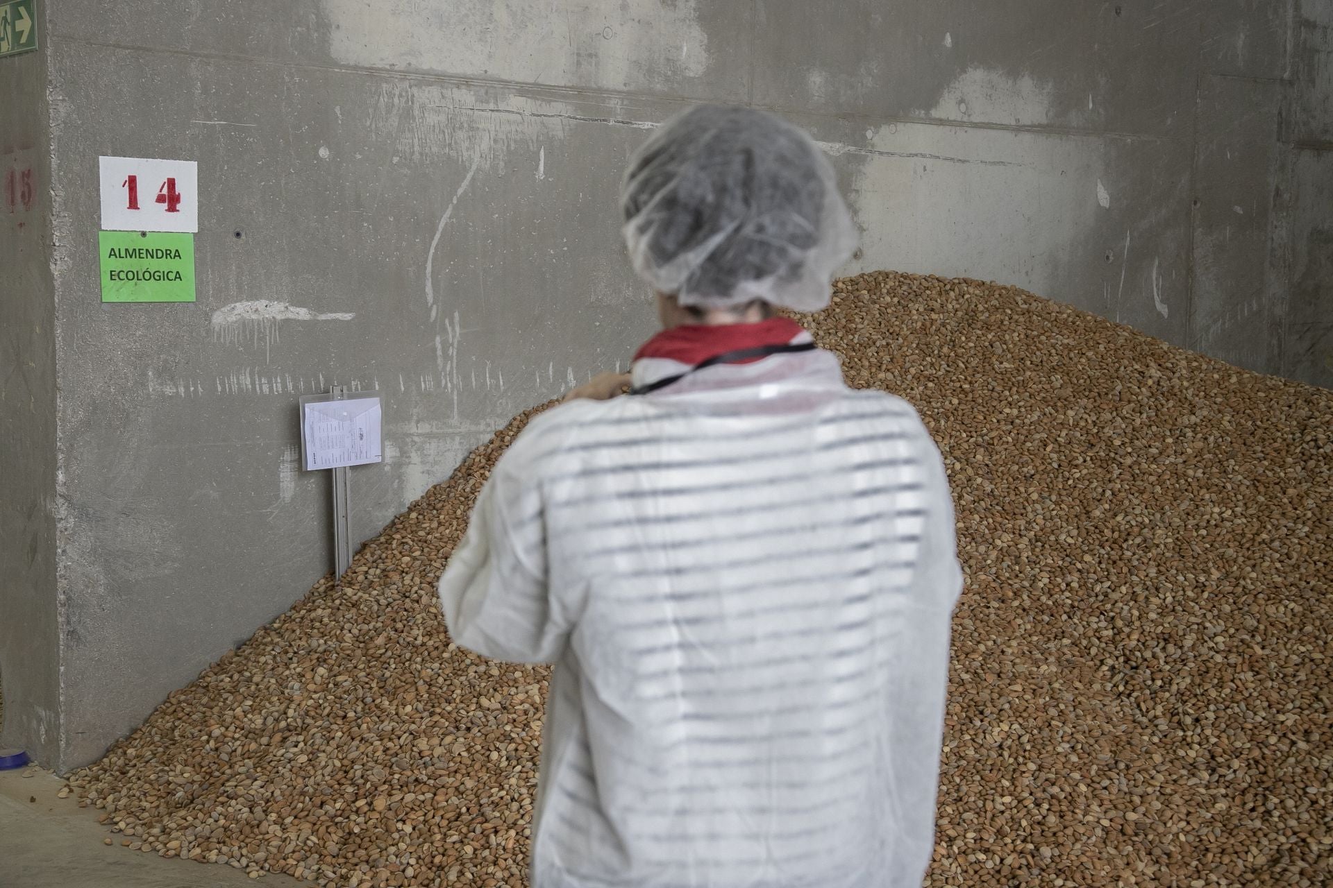 La imponente planta de almendras de Dcoop en Villarrubia, en imágenes