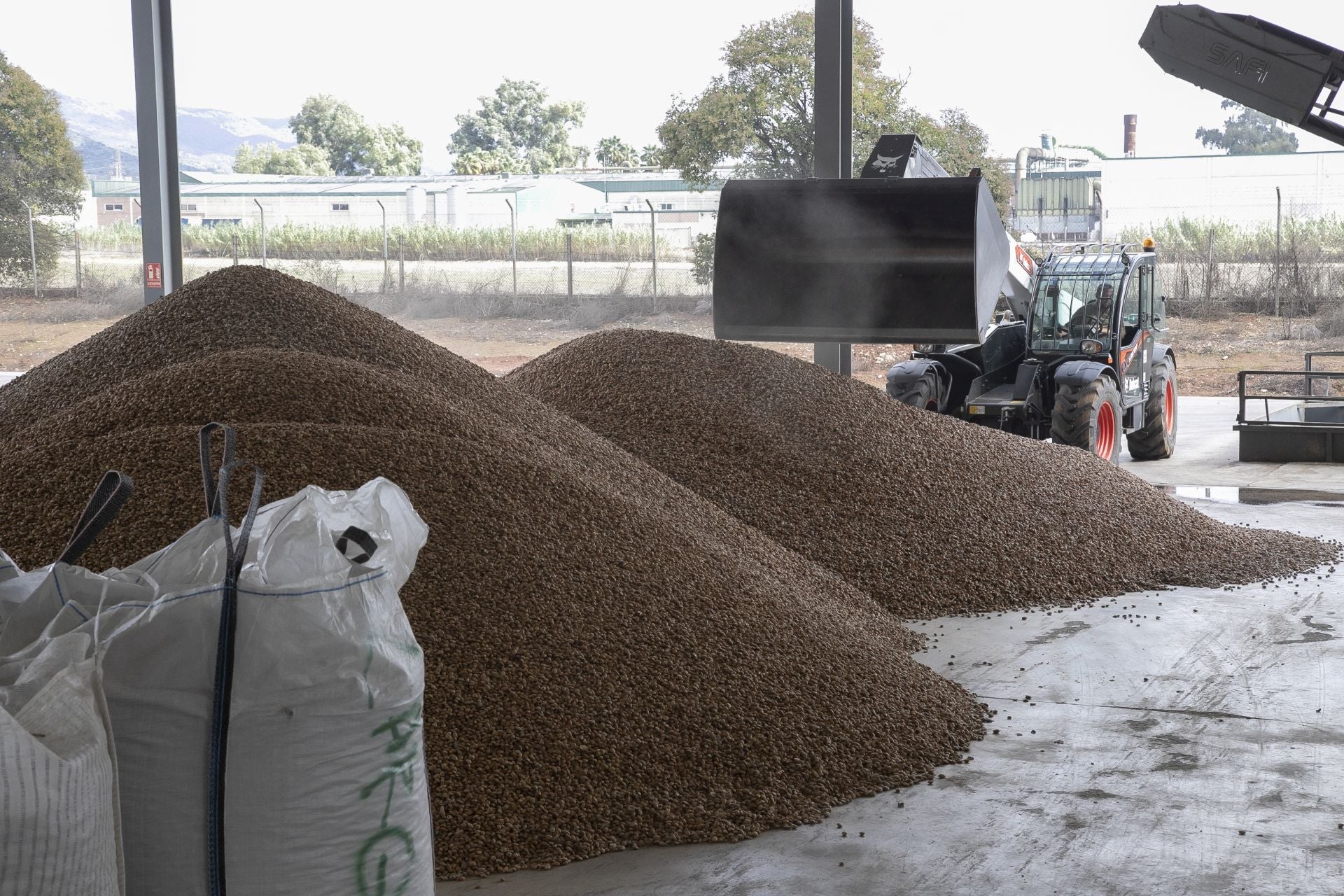 La imponente planta de almendras de Dcoop en Villarrubia, en imágenes
