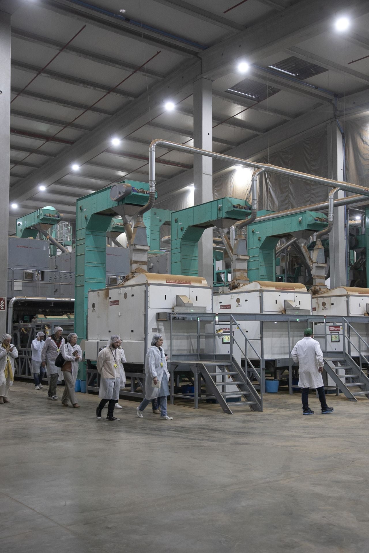 La imponente planta de almendras de Dcoop en Villarrubia, en imágenes