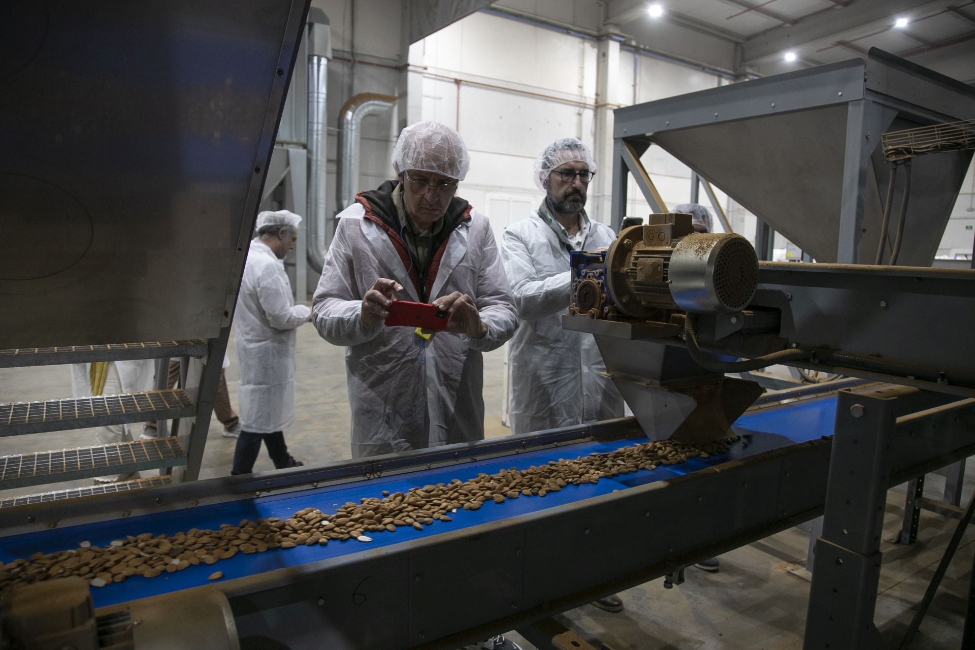 La imponente planta de almendras de Dcoop en Villarrubia, en imágenes