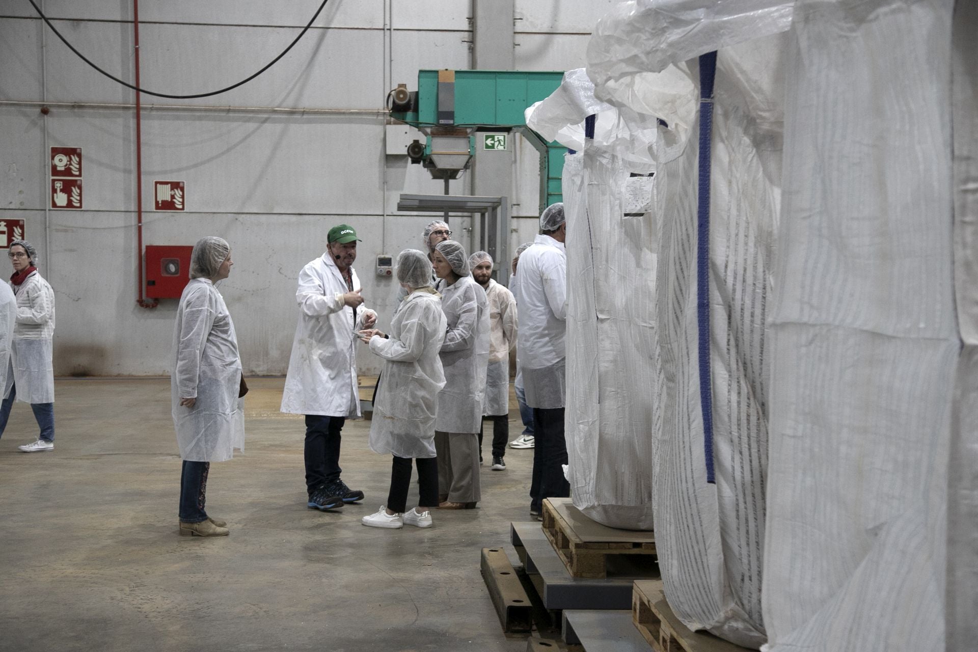 La imponente planta de almendras de Dcoop en Villarrubia, en imágenes