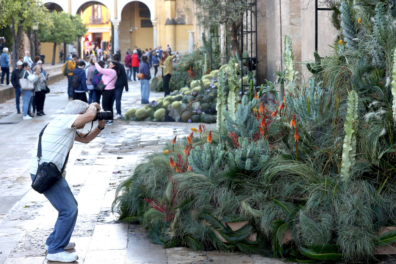 El incomparable espectáculo sensorial del Festival Flora de Córdoba, en imágenes