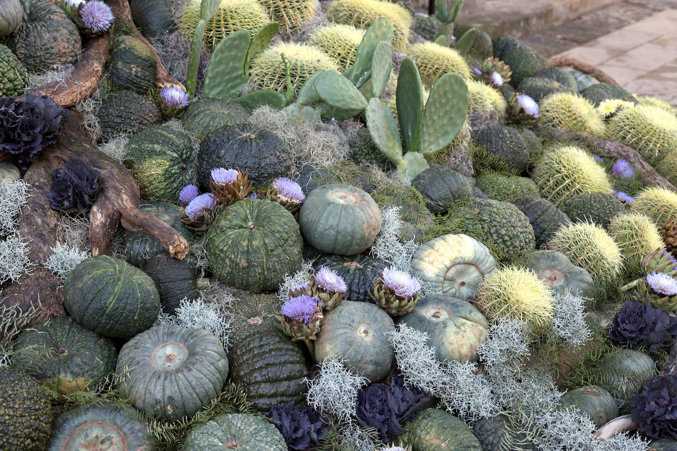 El incomparable espectáculo sensorial del Festival Flora de Córdoba, en imágenes