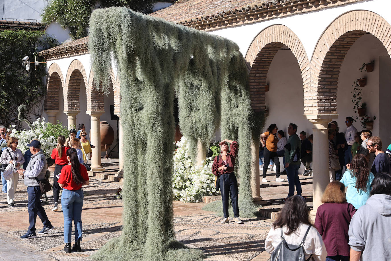 El incomparable espectáculo sensorial del Festival Flora de Córdoba, en imágenes