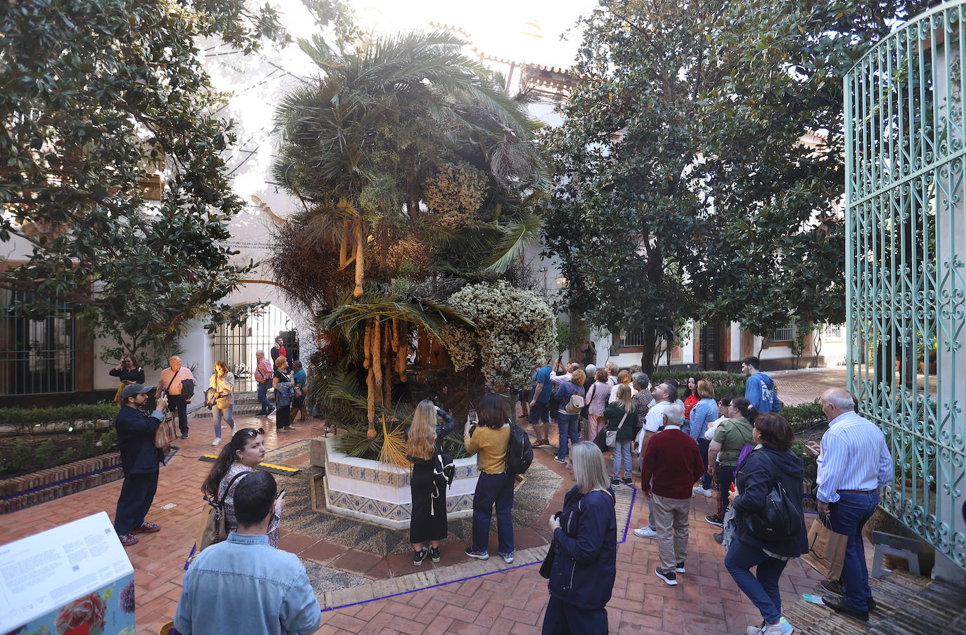 El incomparable espectáculo sensorial del Festival Flora de Córdoba, en imágenes