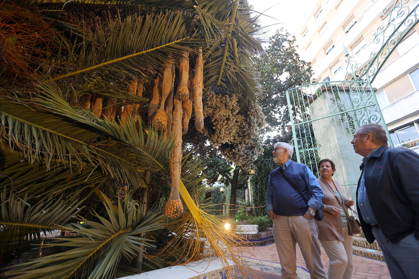 El incomparable espectáculo sensorial del Festival Flora de Córdoba, en imágenes