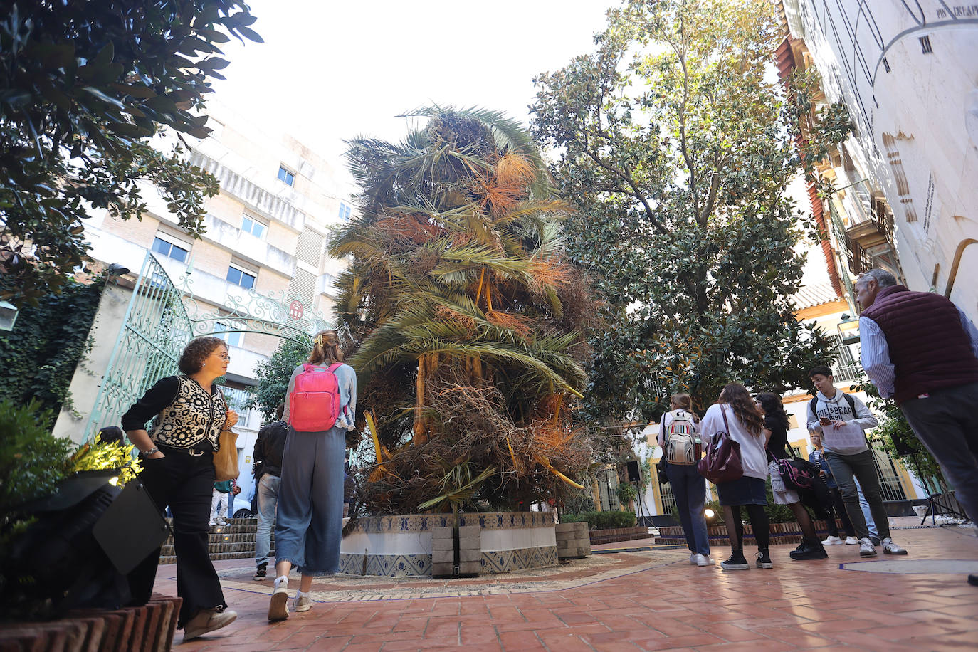 El incomparable espectáculo sensorial del Festival Flora de Córdoba, en imágenes