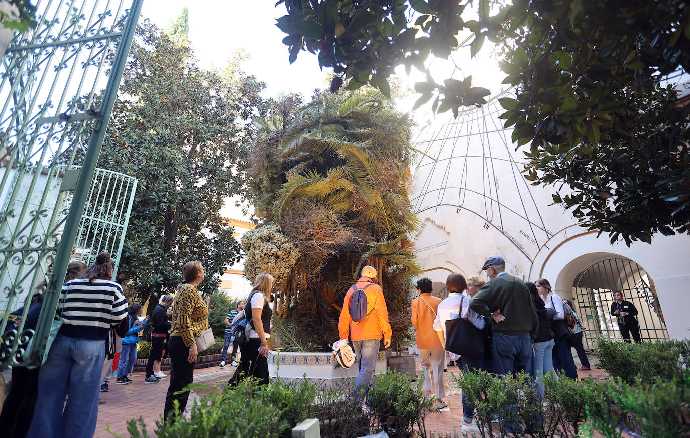 El incomparable espectáculo sensorial del Festival Flora de Córdoba, en imágenes