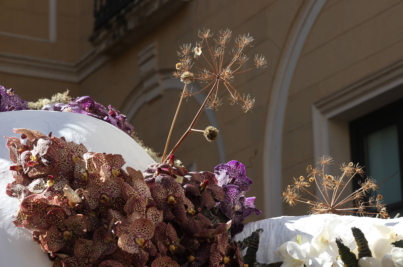 El incomparable espectáculo sensorial del Festival Flora de Córdoba, en imágenes