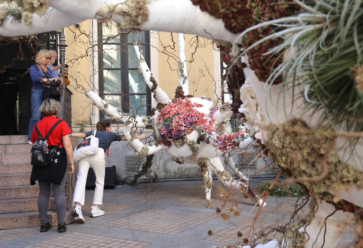 El incomparable espectáculo sensorial del Festival Flora de Córdoba, en imágenes