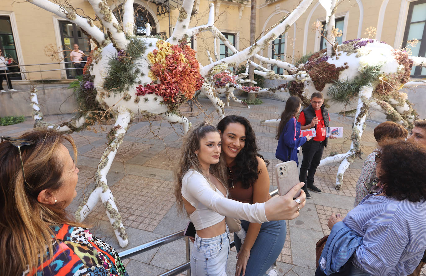El incomparable espectáculo sensorial del Festival Flora de Córdoba, en imágenes
