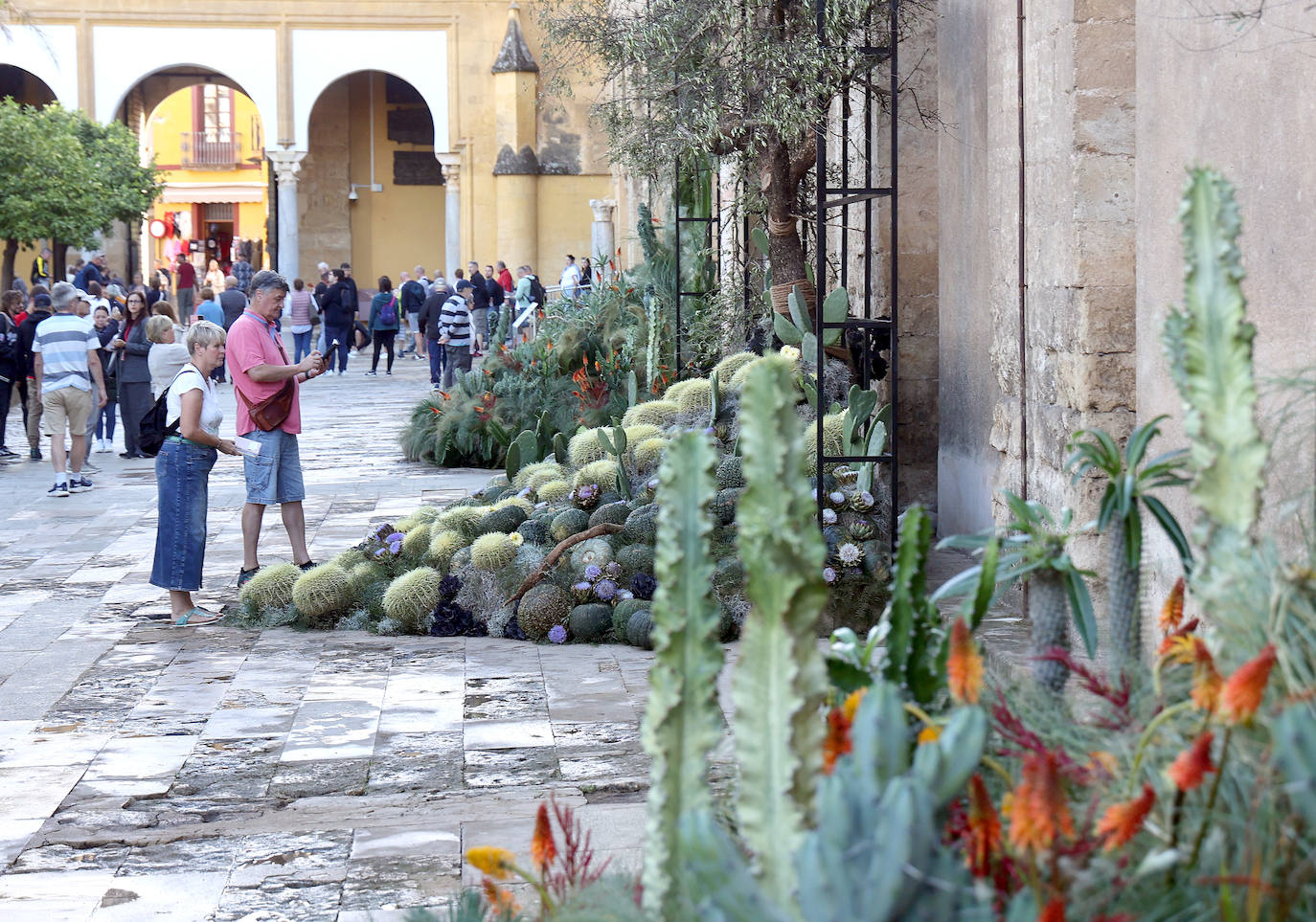 El incomparable espectáculo sensorial del Festival Flora de Córdoba, en imágenes