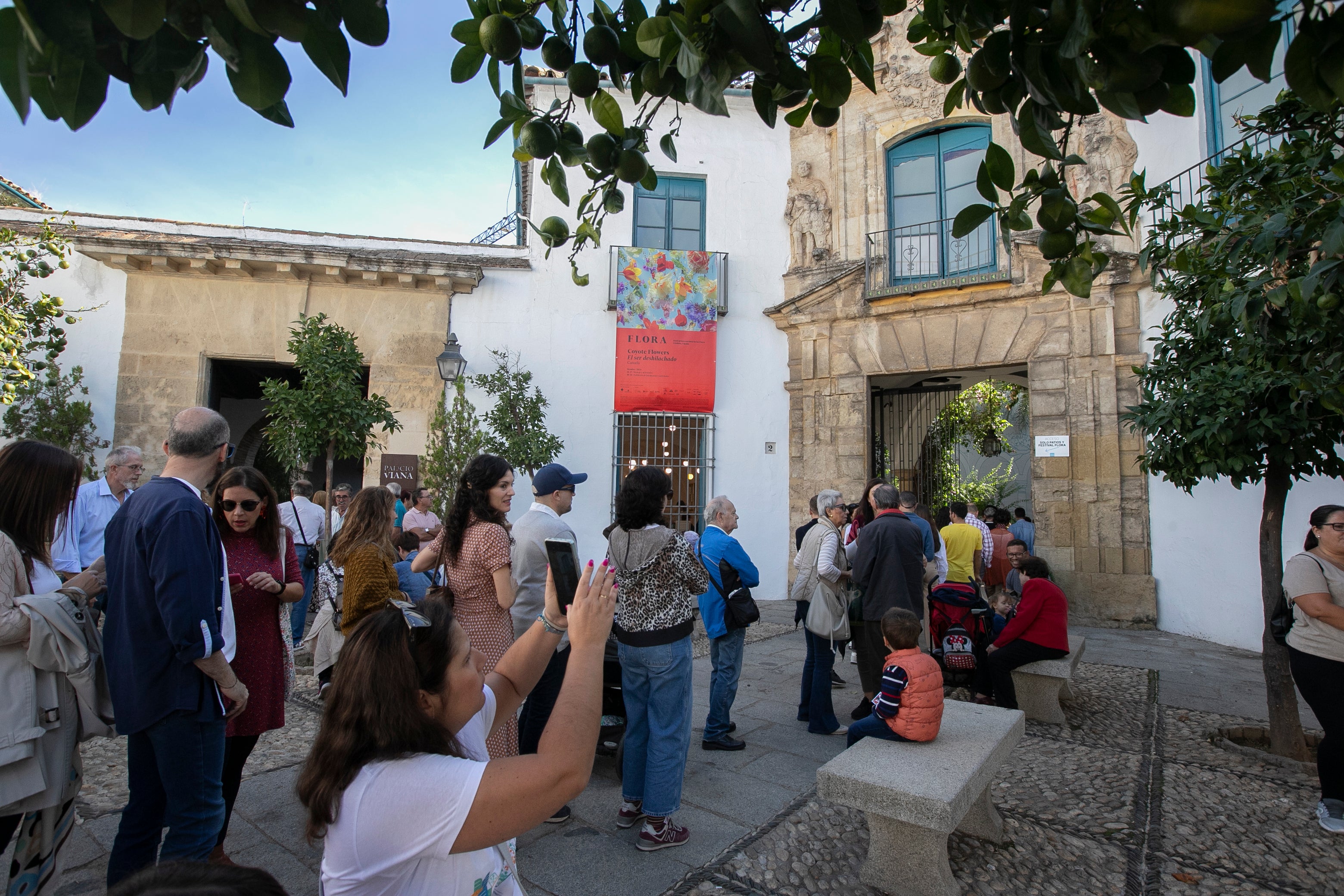 El ambiente en las instalaciones del Festival de Flora de Córdoba, en imágenes