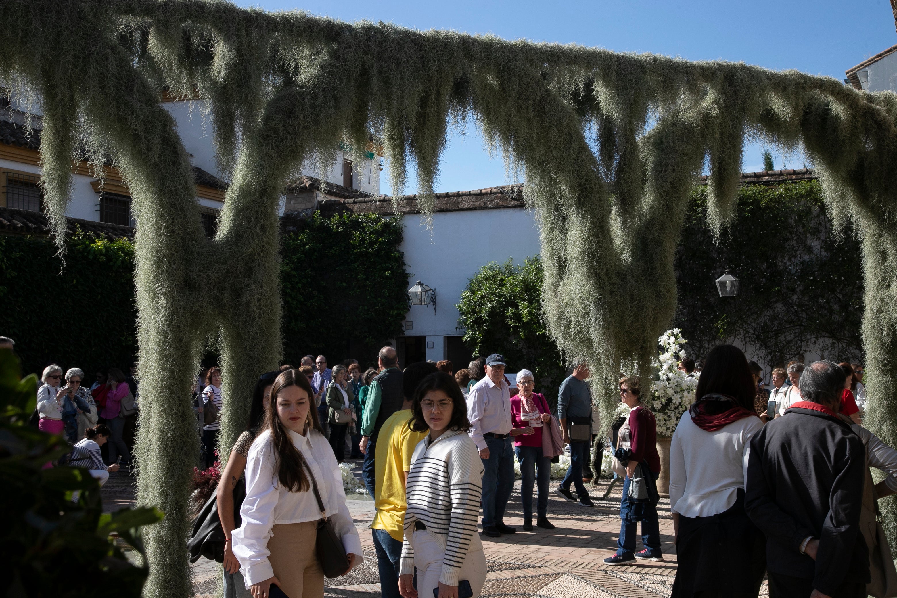 El ambiente en las instalaciones del Festival de Flora de Córdoba, en imágenes