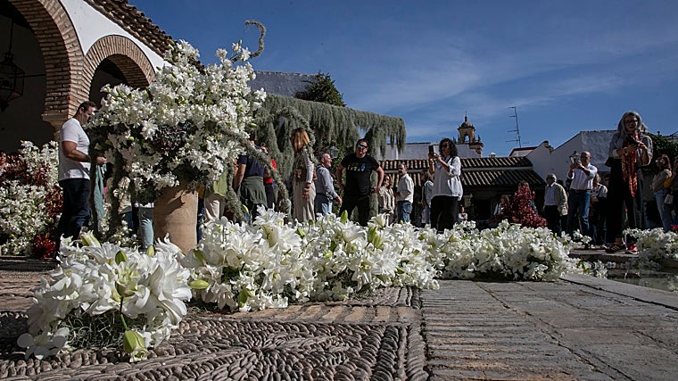 'El ser deshilachado', la instalación del Palacio de Viana