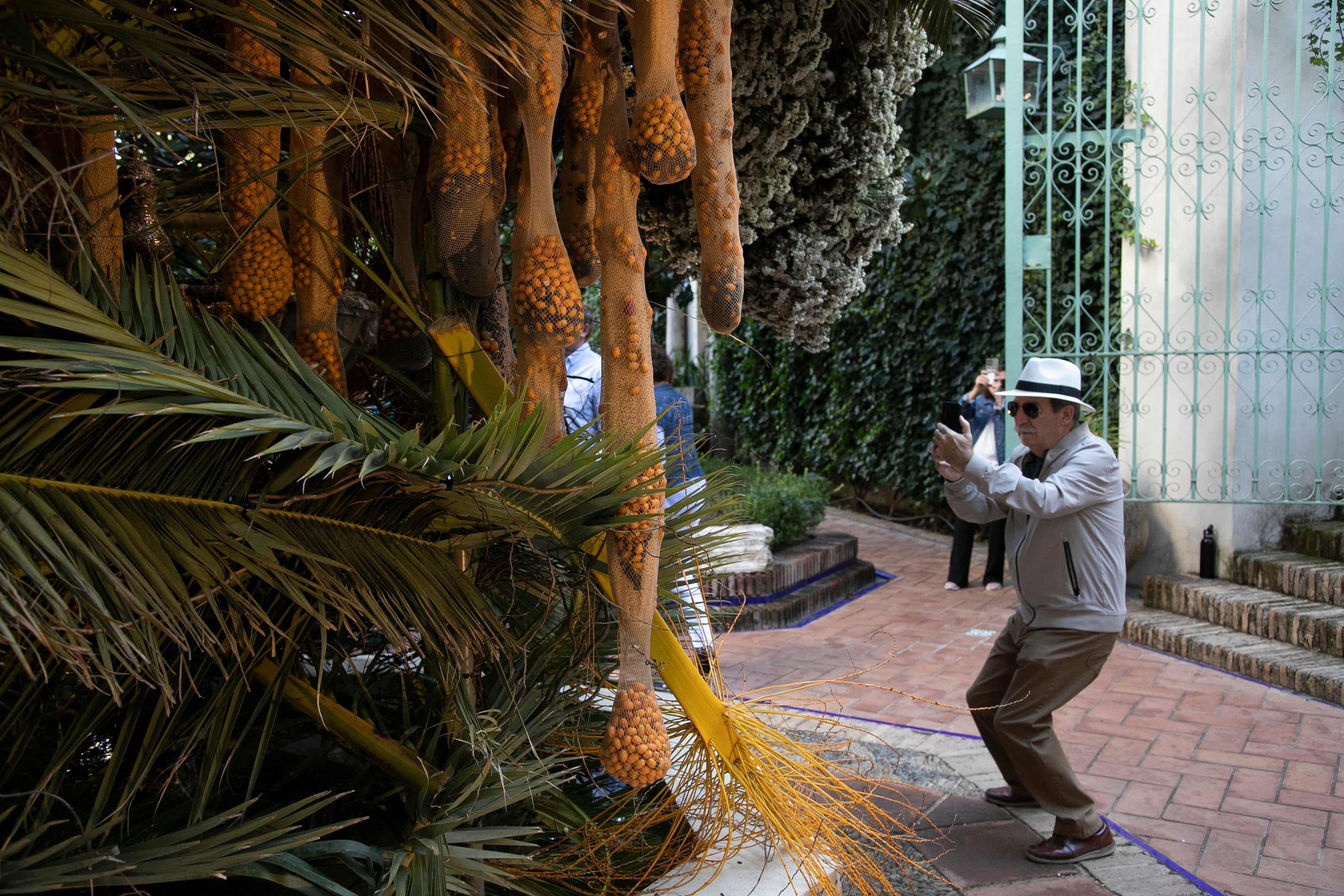 El ambiente en las instalaciones del Festival de Flora de Córdoba, en imágenes
