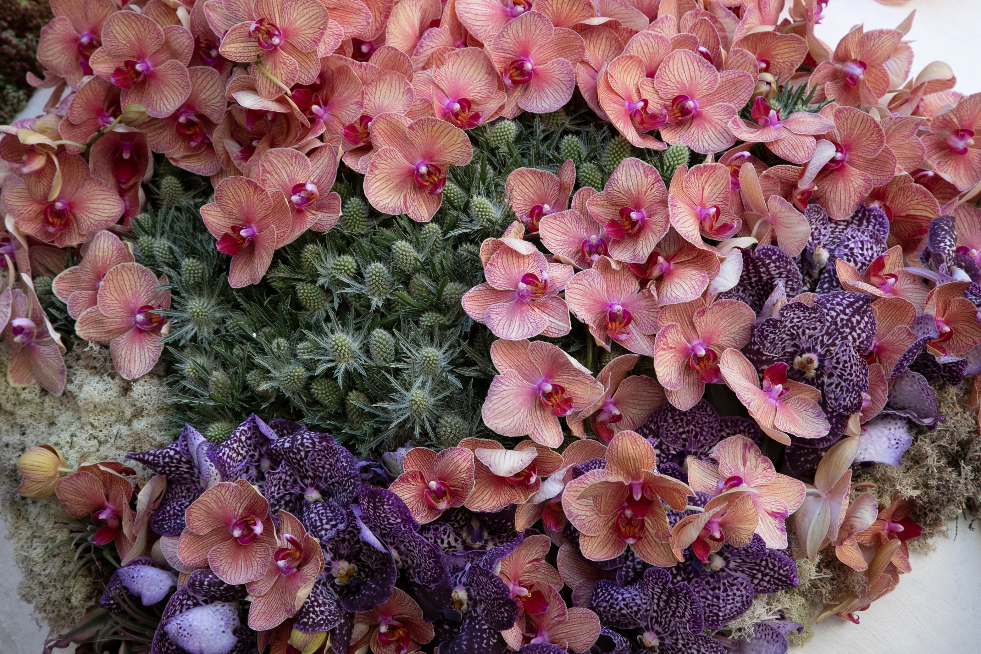 El ambiente en las instalaciones del Festival de Flora de Córdoba, en imágenes