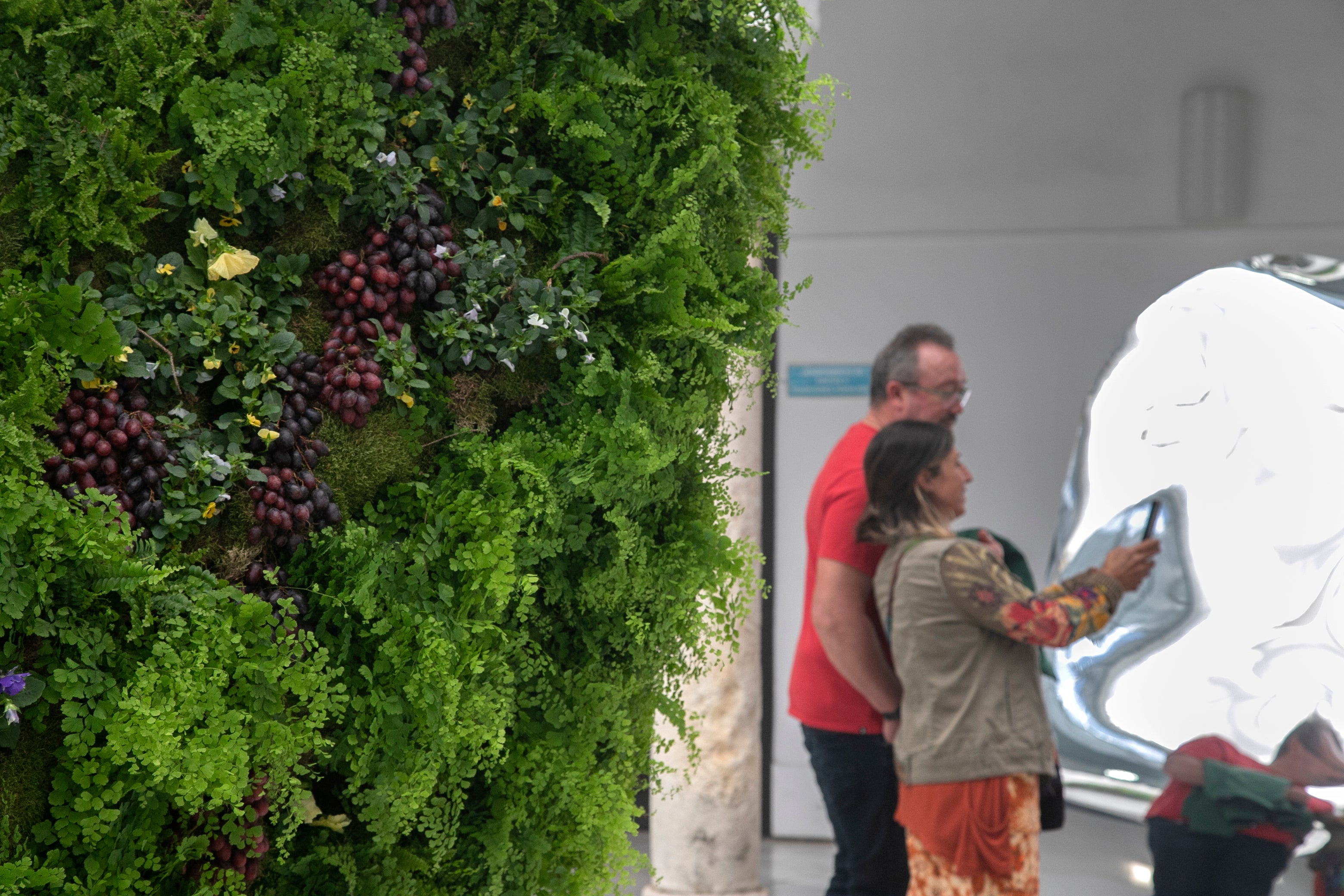 El ambiente en las instalaciones del Festival de Flora de Córdoba, en imágenes