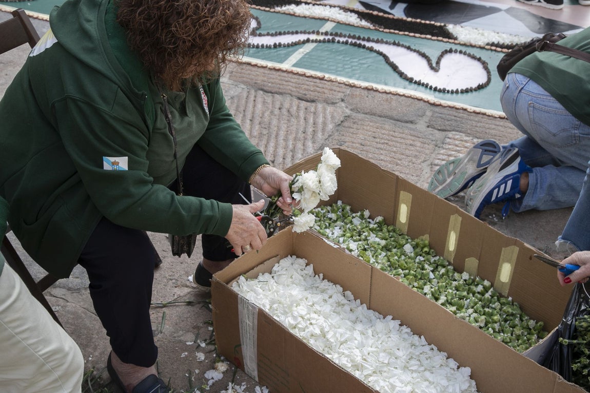 La majestuosa alfombra de flores dedicada a Julio Romero de Torres en Flora, en imágenes