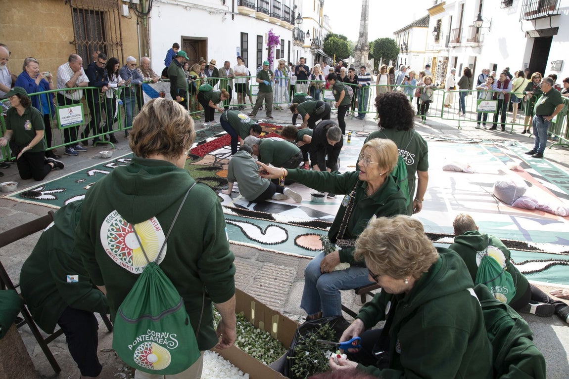 La majestuosa alfombra de flores dedicada a Julio Romero de Torres en Flora, en imágenes