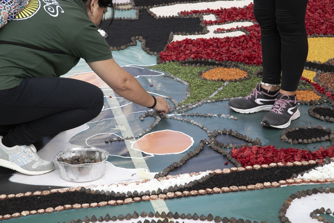 La majestuosa alfombra de flores dedicada a Julio Romero de Torres en Flora, en imágenes