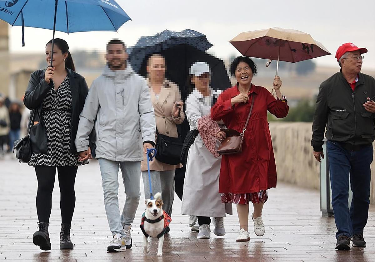 Carterista 'cazada' cuando robaba a una turista en el Puente Romano
